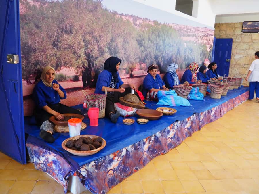 Marrakech: Essaouira Day Trip with Transfers and Co-op Visit - The return ride to Marrakech