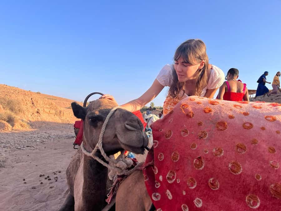 Marrakech: Evening Escape to the Agafay Desert - Pickup from Marrakech and the drive south