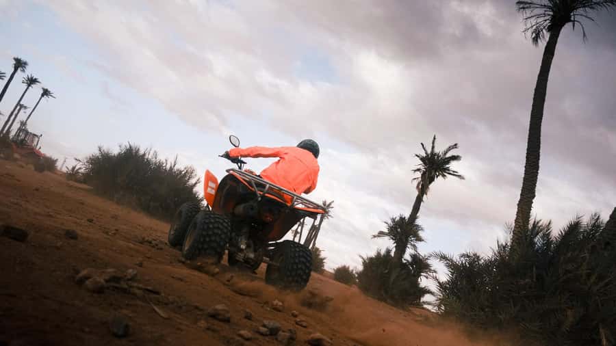 Marrakech:excursion quad in Oasis palm & jbilat desert,tea - The tea stop and the photo break