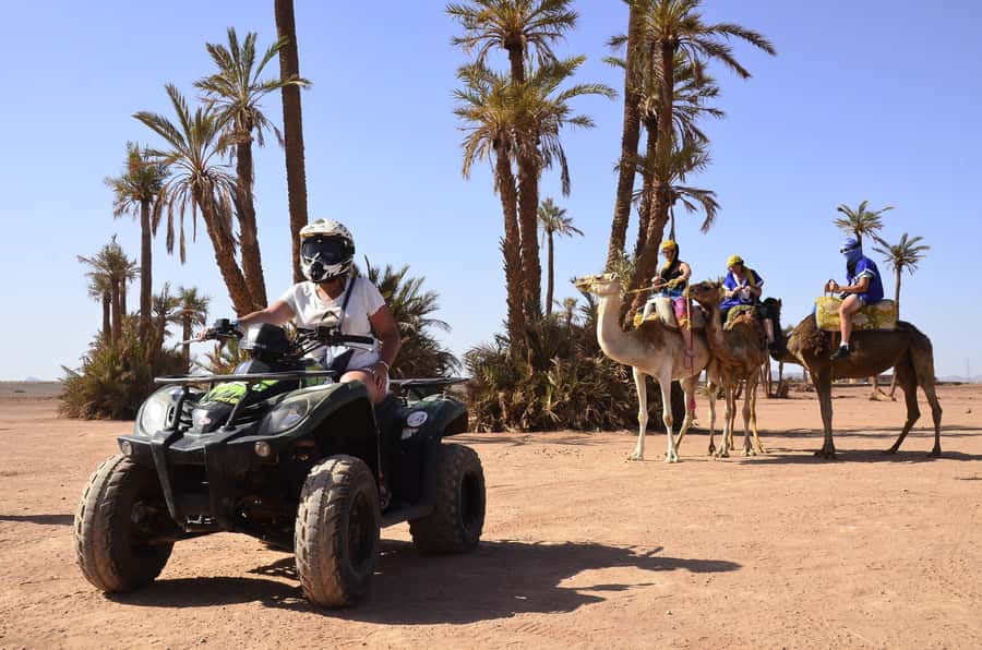 Marrakech:excursion quad in Oasis palm & jbilat desert,tea - Who will enjoy this Marrakech outing
