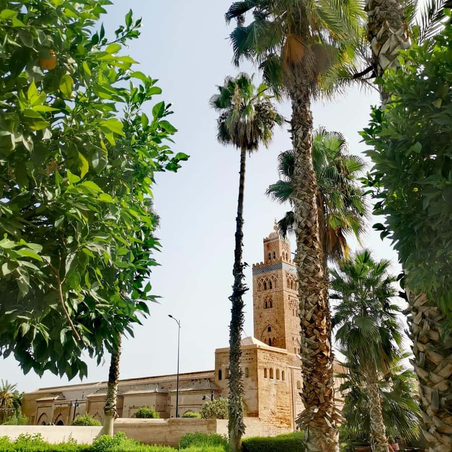 Marrakech: Guided Bike Tour with a local Guide - Jemaa el-Fna, where the city gathers