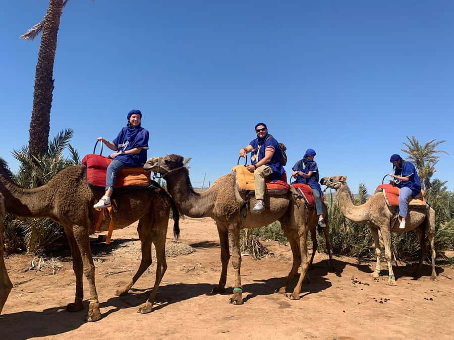 Marrakech: Guided Quad Bike and Camel Ride Tour with Tea - Key points before you book