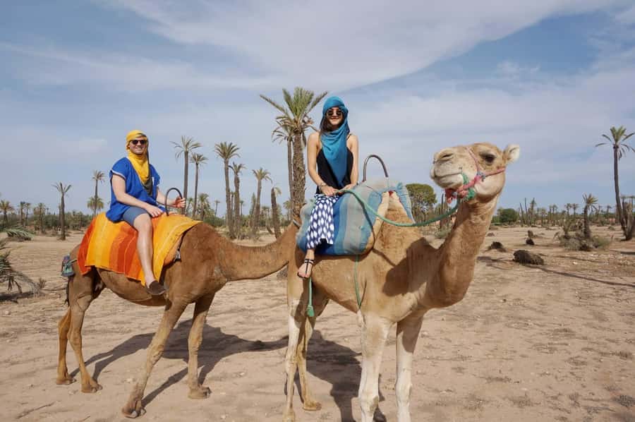 Marrakech: Half-Day Camel Ride in Palm Grove - Camels, baby animals, and animal comfort