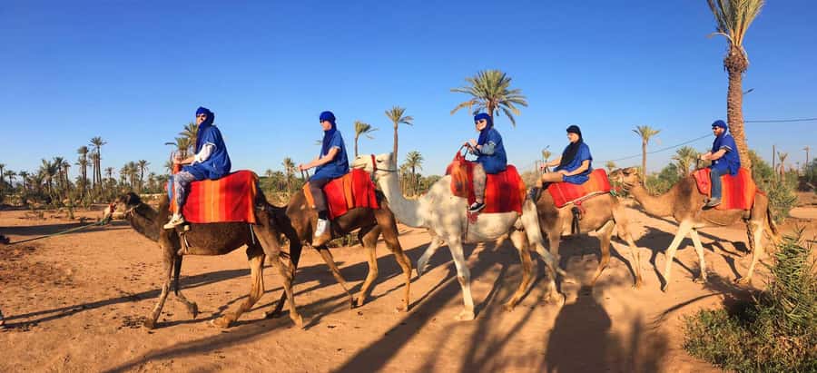 Marrakech: Half-Day Camel Ride in Palm Grove - Who will enjoy this experience most?