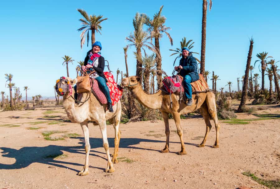 Marrakech: Half-Day Desert Quad Tour with Camel Ride - Key points to know before you book