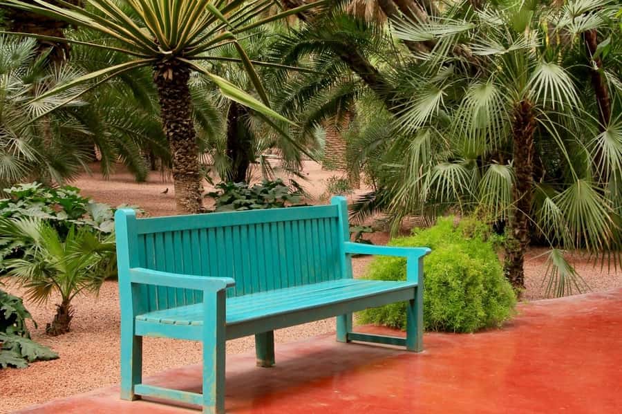 Marrakech: Majorelle Garden, YSL, and Berber Museum Entry - Is the $58 price good value?