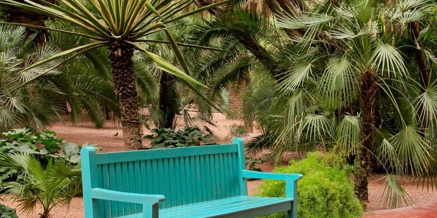 Marrakech: Majorelle Garden, YSL, and Berber Museum Entry - Should you book the Majorelle, YSL, and Berber combination?