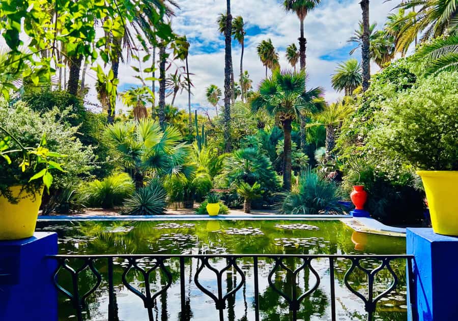Marrakech: Majorelle & Menara Garden Tour and Carriage Ride - Why this three-hour Marrakech tour works