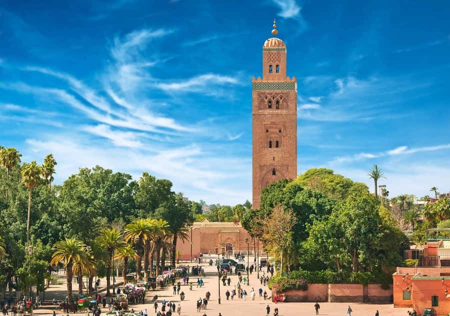Marrakech: Majorelle & Menara Garden Tour and Carriage Ride - What to expect at Menara Gardens