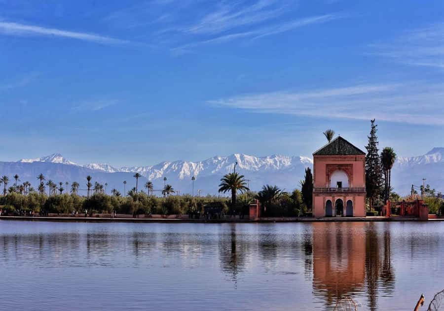 Marrakech: Majorelle & Menara Garden Tour and Carriage Ride - Is $82 per person good value?