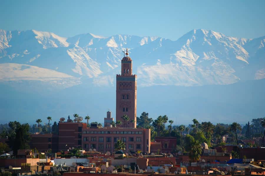 Marrakech: Moroccan Cooking Class with Amazing Local Chef! - From Mint Tea to the First Knife Work