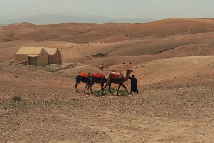 Marrakech/Ouarzazate: 2-Day Desert with Camel, 4x4 & Meals - Key points to know before booking