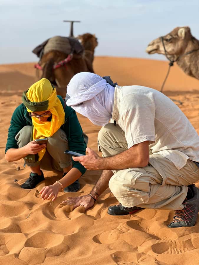 Marrakech/Ouarzazate: 2-Day Desert with Camel, 4x4 & Meals - Through Ouarzazate, Agdez, and the Draa Valley