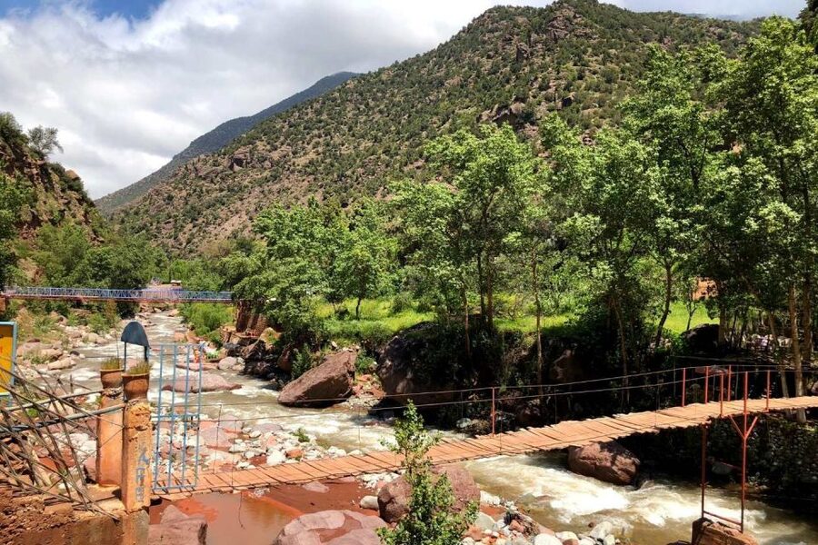Marrakech: Ourika Valley and Atlas Mountains Day Trip - Guides, drivers, and the human side of the day