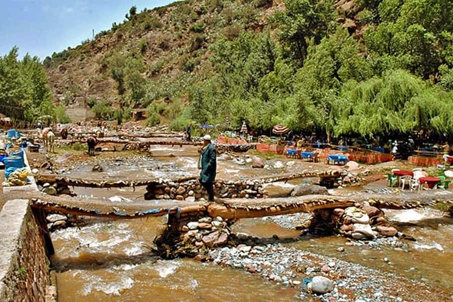 Marrakech: Ourika Valley and Atlas Mountains Day Trip - What the $7 price really buys you