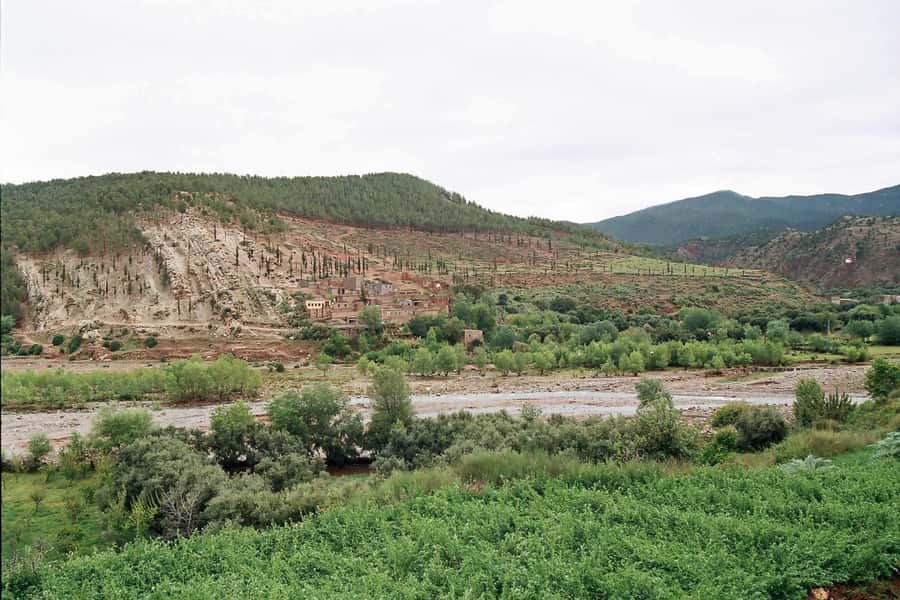 Marrakech: Ourika Valley and Atlas Mountains Day Trip - Who will enjoy this Ourika Valley day trip