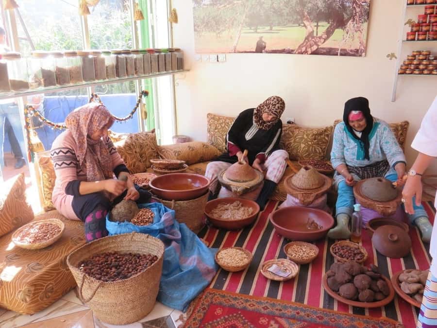 Marrakech: Ourika Valley & Atlas Mountains Half-Day Trip - Is $64 a good value?
