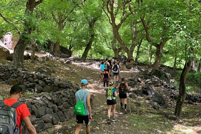 Marrakech: Ourika Valley, Atlas Mountains, Waterfalls & Lunch - Who should book this Ourika Valley trip?