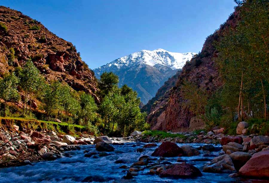 Marrakech: ourika valley Atlas Mountains & Waterfalls Trip - Key points to know before you book