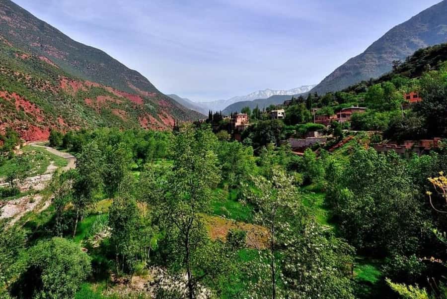 Marrakech: ourika valley lunch & guided hike to waterfalls - The Berber village visit adds meaning to the day