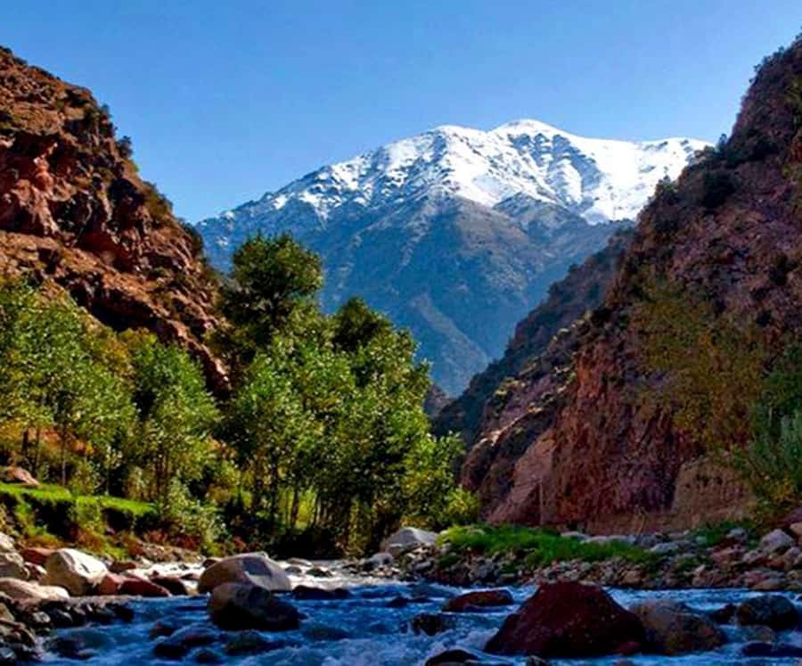 Marrakech: Ourika Valley,Waterfalls, Atlas Luxury Day trip - The return to Marrakech