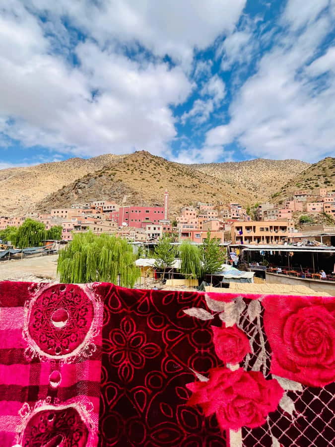 Marrakech: Ourika Valley Waterfalls & guided hike - What $10 really gets you