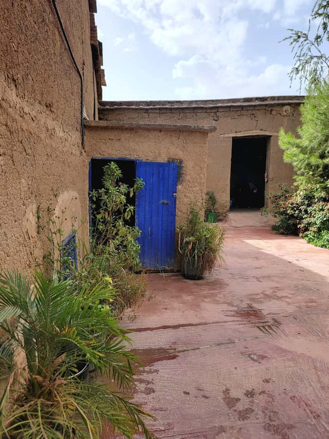 Marrakech: Ourika Valley, Waterfalls Private Trip with Lunch - Should you book the Ourika Valley private trip?