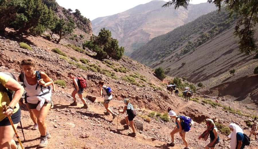 Marrakech: Ourika Valley waterfalls with guide& Berber lunch - A Berber lunch beside the river