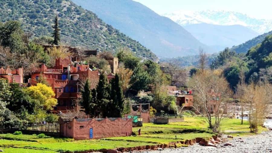 Marrakech: Ourika Valley waterfalls with guide& Berber lunch - How the guides shape the day