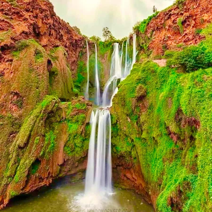 Marrakech: Ouzoud Waterfall, Guided Hike, Boat Ride & Lunch - Why Ouzoud is worth the long ride from Marrakech