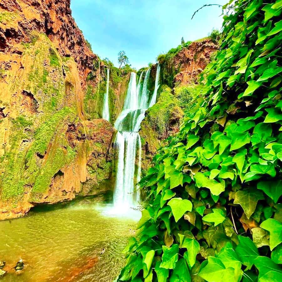 Marrakech: Ouzoud Waterfall, Guided Hike, Boat Ride & Lunch - Meeting the Barbary macaques