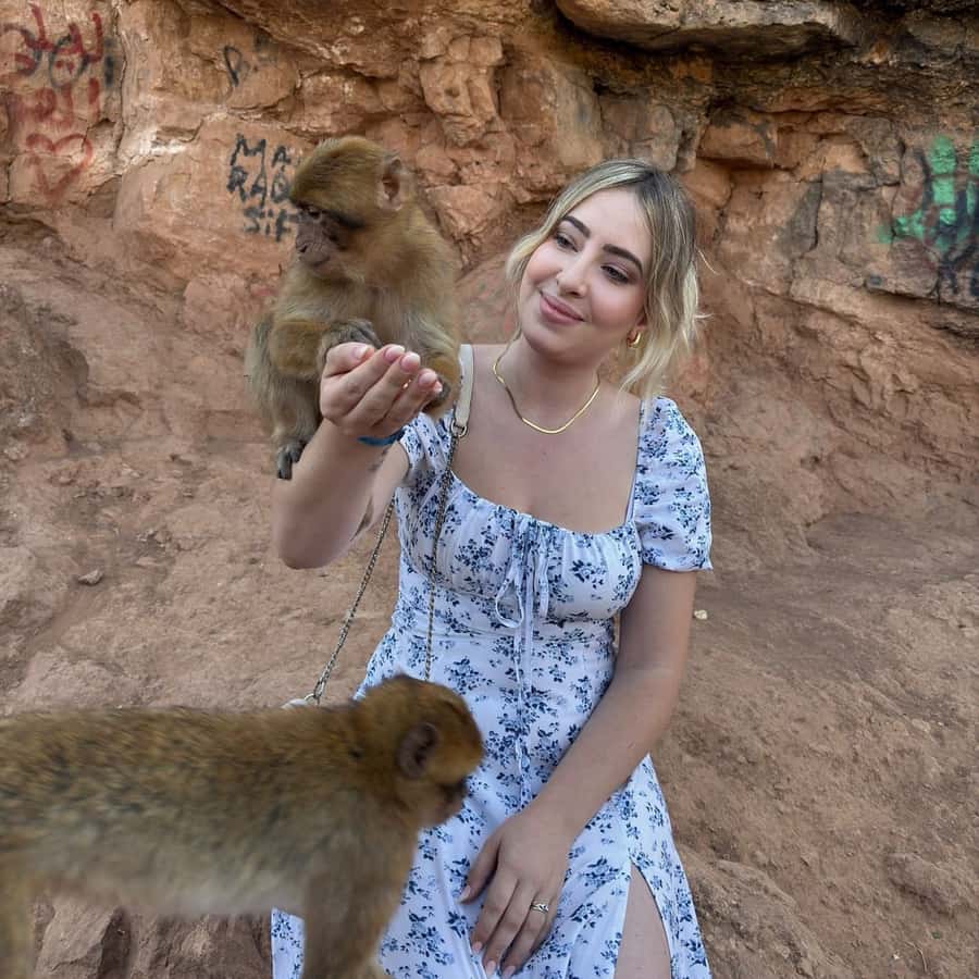 Marrakech: Ouzoud Waterfall, Guided Hike, Boat Ride & Lunch - Is $16 good value?