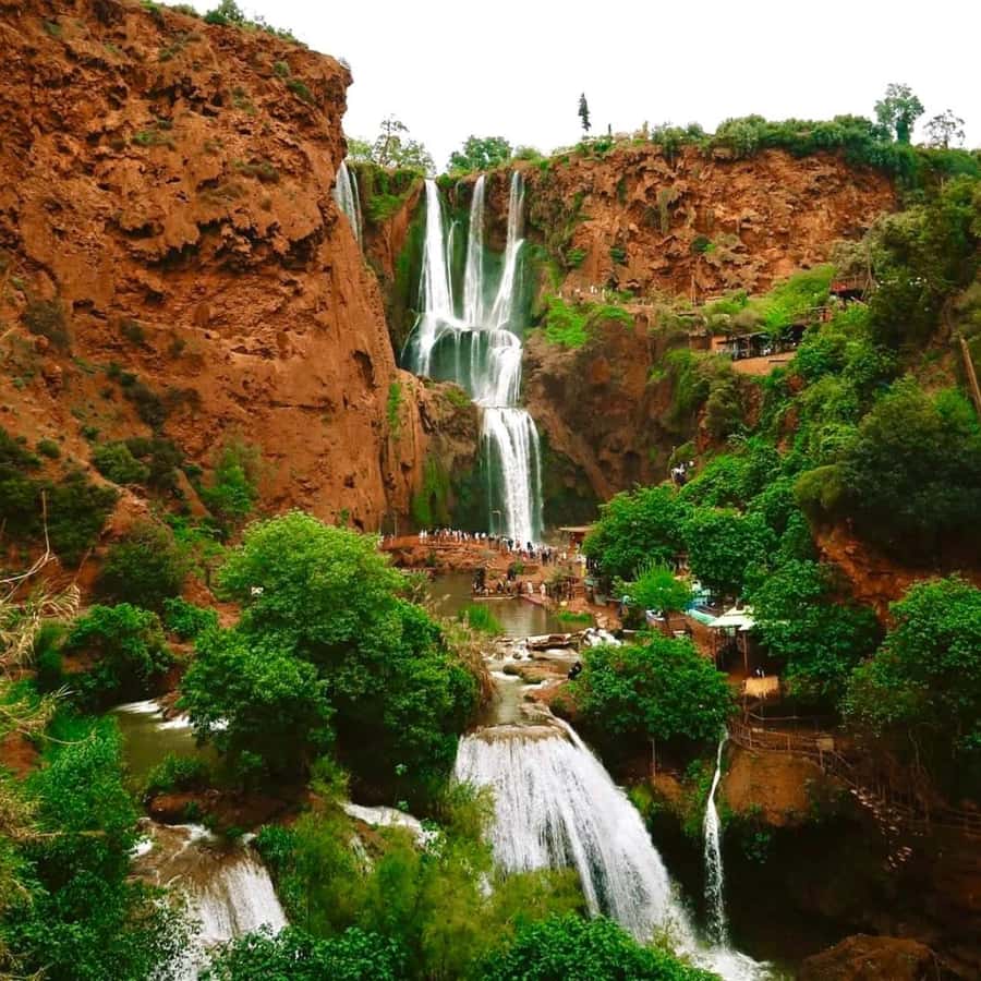 Marrakech: Ouzoud Waterfall, Guided Hike, Boat Ride & Lunch - The three-hour drive through the Atlas Mountains