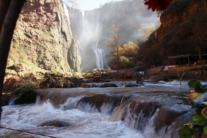 Marrakech: Ouzoud Waterfalls Guided Day Trip with Boat Ride - The macaques add a memorable wildlife moment