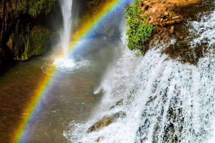 Marrakech: Ouzoud Waterfalls Trip, Guided Hike & Boat Option - Walking under olive trees with a local guide