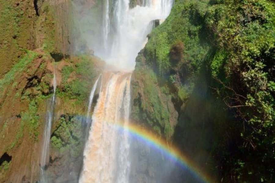 Marrakech: Ouzoud Waterfalls Trip, Guided Hike & Boat Option - Who should choose this Ouzoud trip?
