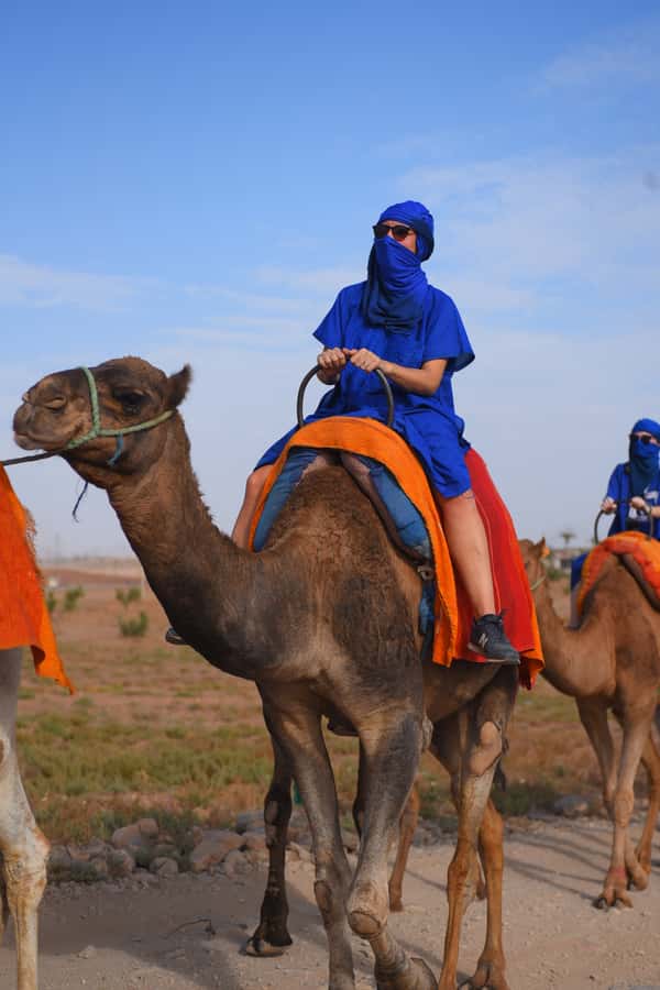Marrakech: pack quad and camel ride in the palm grove - Mint tea, bread, honey, and olives