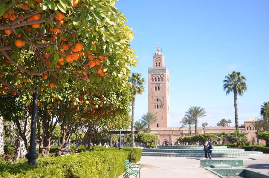 Marrakech: Palace, Museum, Madrasa & Medina Highlights Tour - What the guides add