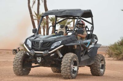Palm Grove and Desert Buggy excursion