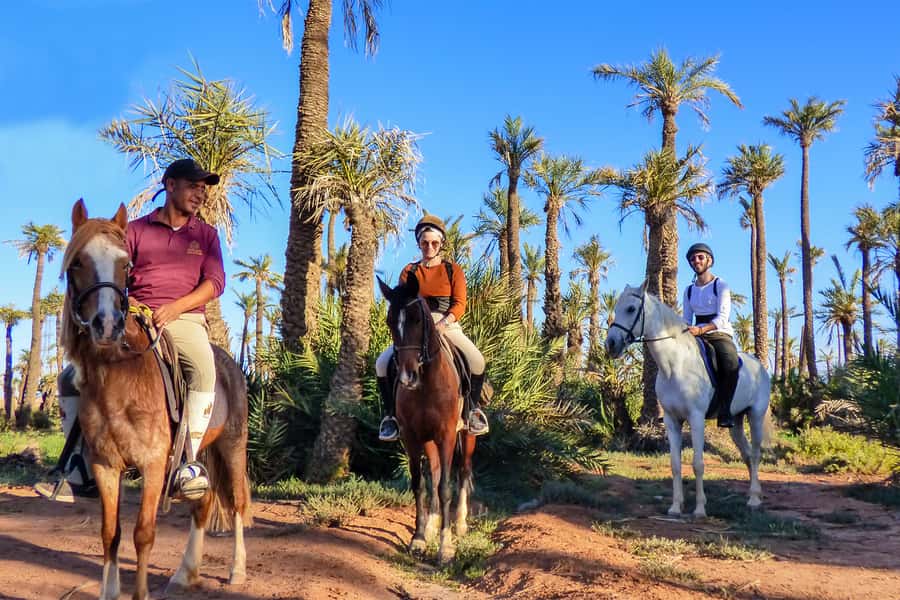 Marrakech: Palm Grove Horseback Riding Tour - Key points at a glance