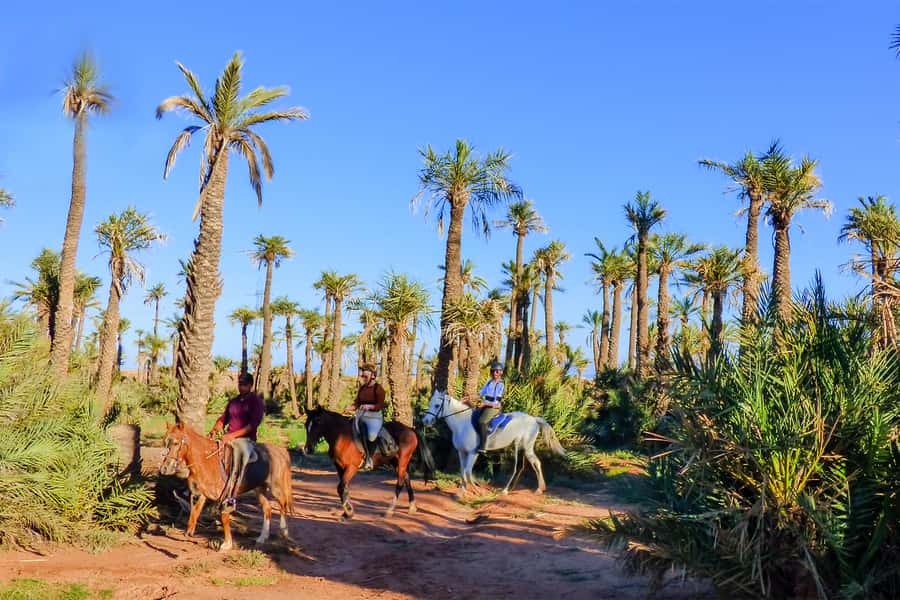 Marrakech: Palm Grove Horseback Riding Tour - Riding through Marrakech’s Palmeraie