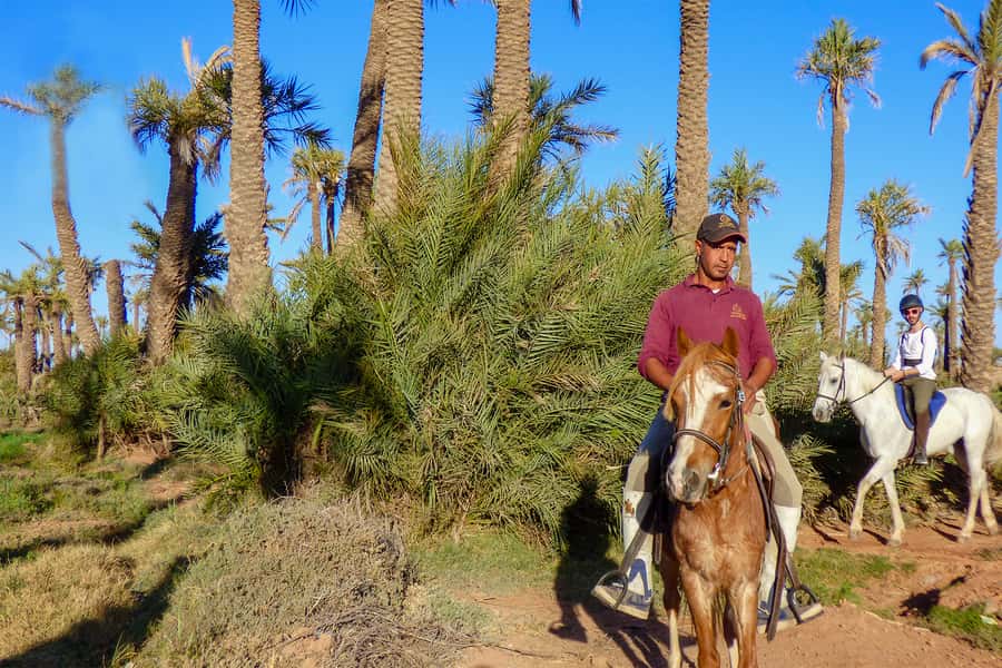 Marrakech: Palm Grove Horseback Riding Tour - The horses and stable matter most