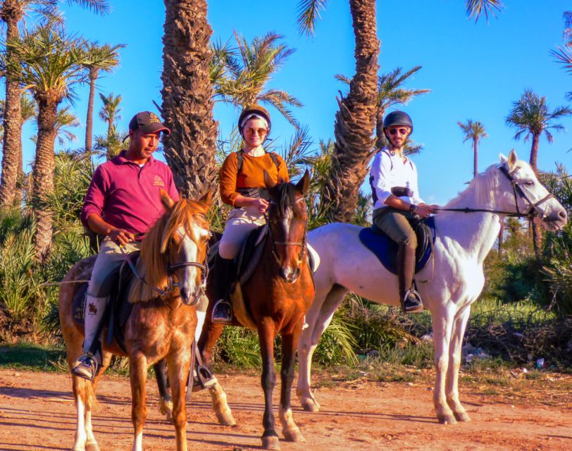 Marrakech: Palm Grove Horseback Riding Tour - A good choice for beginners and confident riders