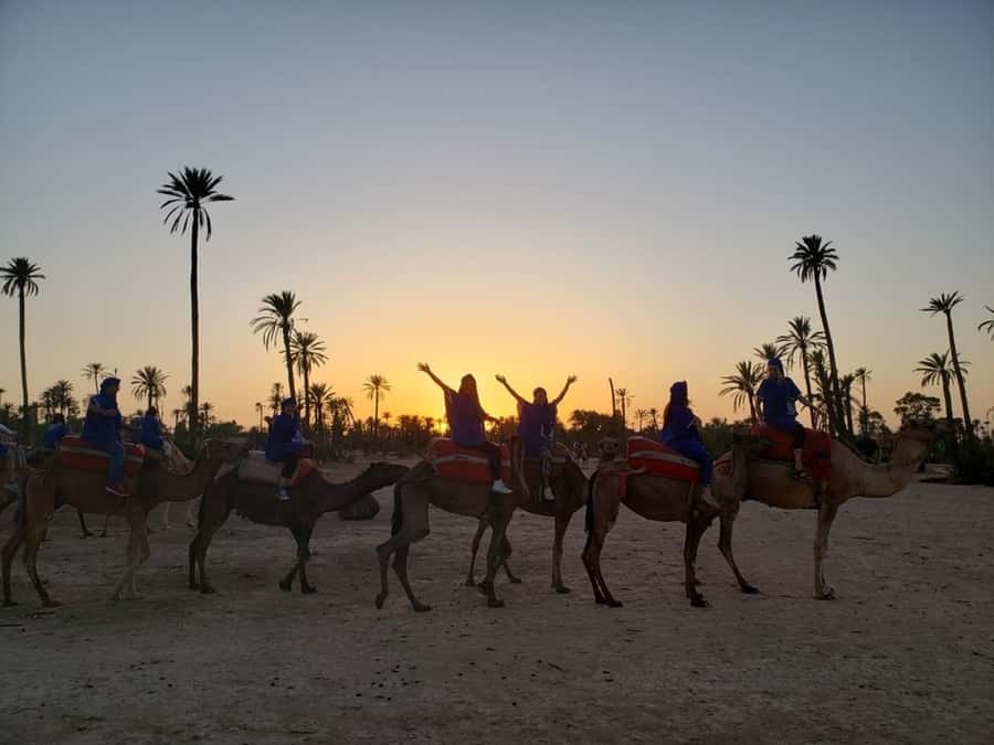 Marrakech palm grove: Sunset camel ride - Who will enjoy this ride most