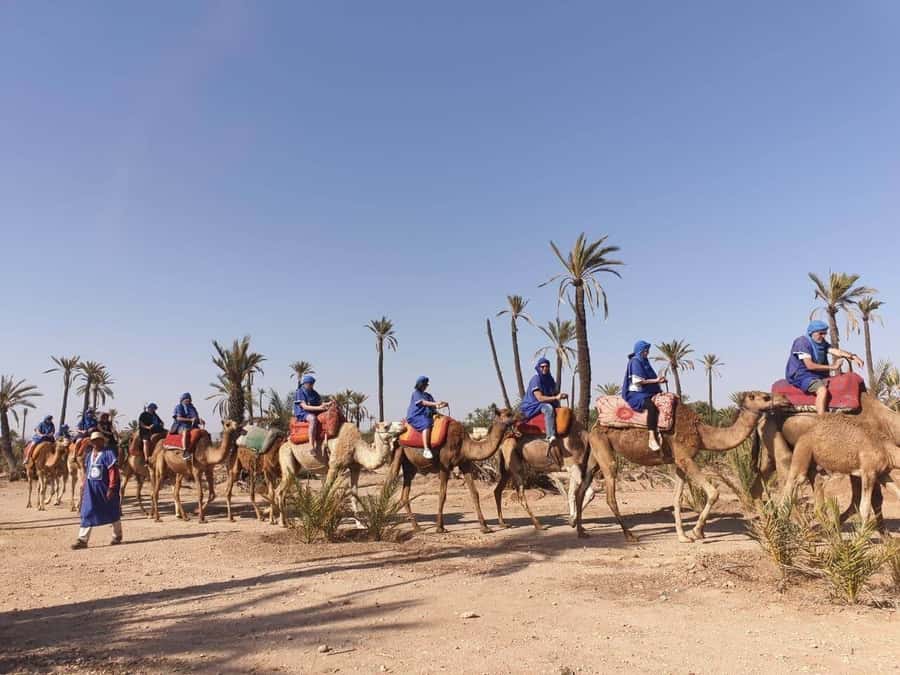 Marrakech Palmeraie: Camel Ride at Sunset - Mounting the camels and settling into the ride