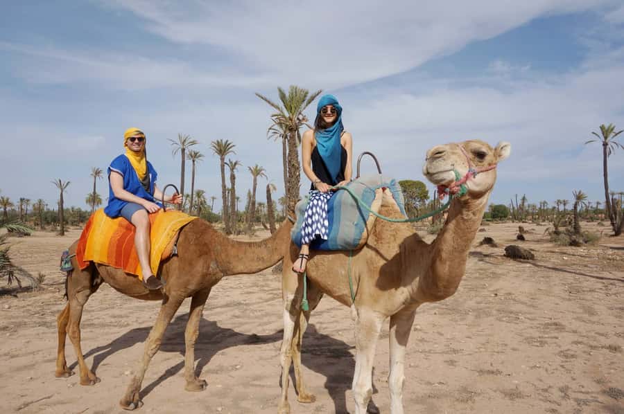 Marrakech Palmeraie: Camel Ride at Sunset - The one-hour route through the palm grove