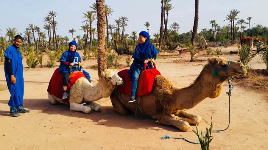 Marrakech Palmeraie: Camel Ride & Quad Bike Experience - Key points to know before booking