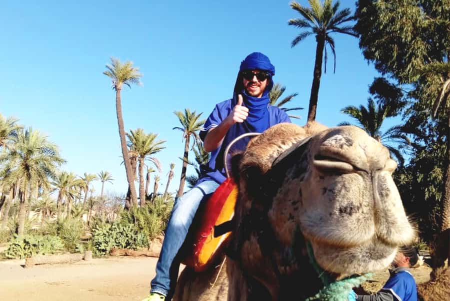 Marrakech Palmeraie: Camel Ride & Quad Bike Experience - FAQ
