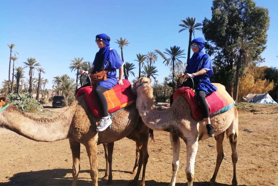 Marrakech Palmeraie: Camel Ride & Quad Bike Experience - The quad-bike section brings the adrenaline