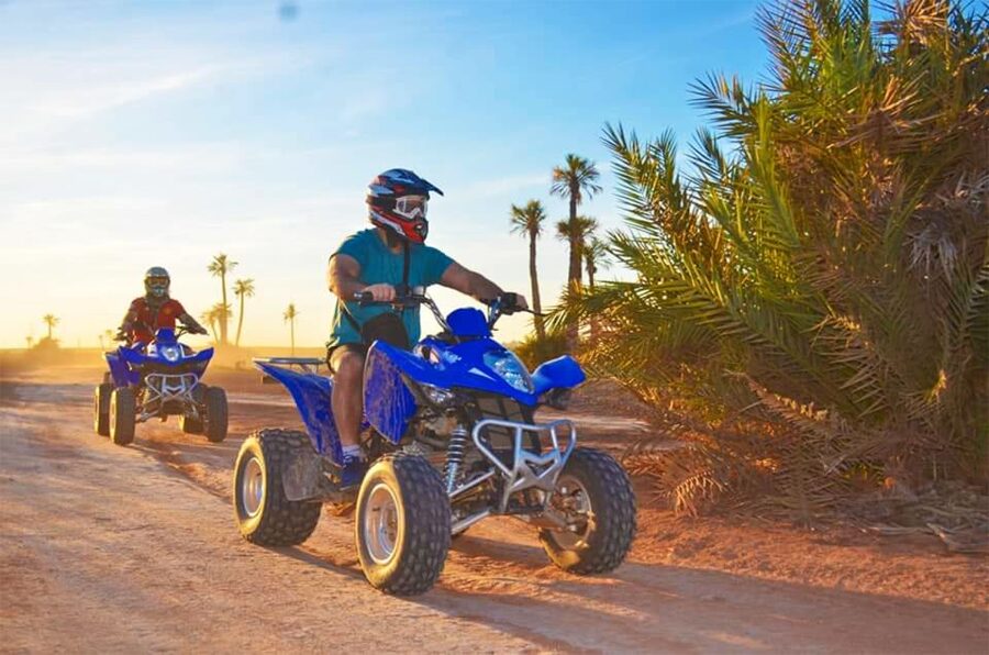 Marrakech Palmeraie: Camel Ride & Quad Bike Experience - Should you book the Palmeraie camel and quad tour?